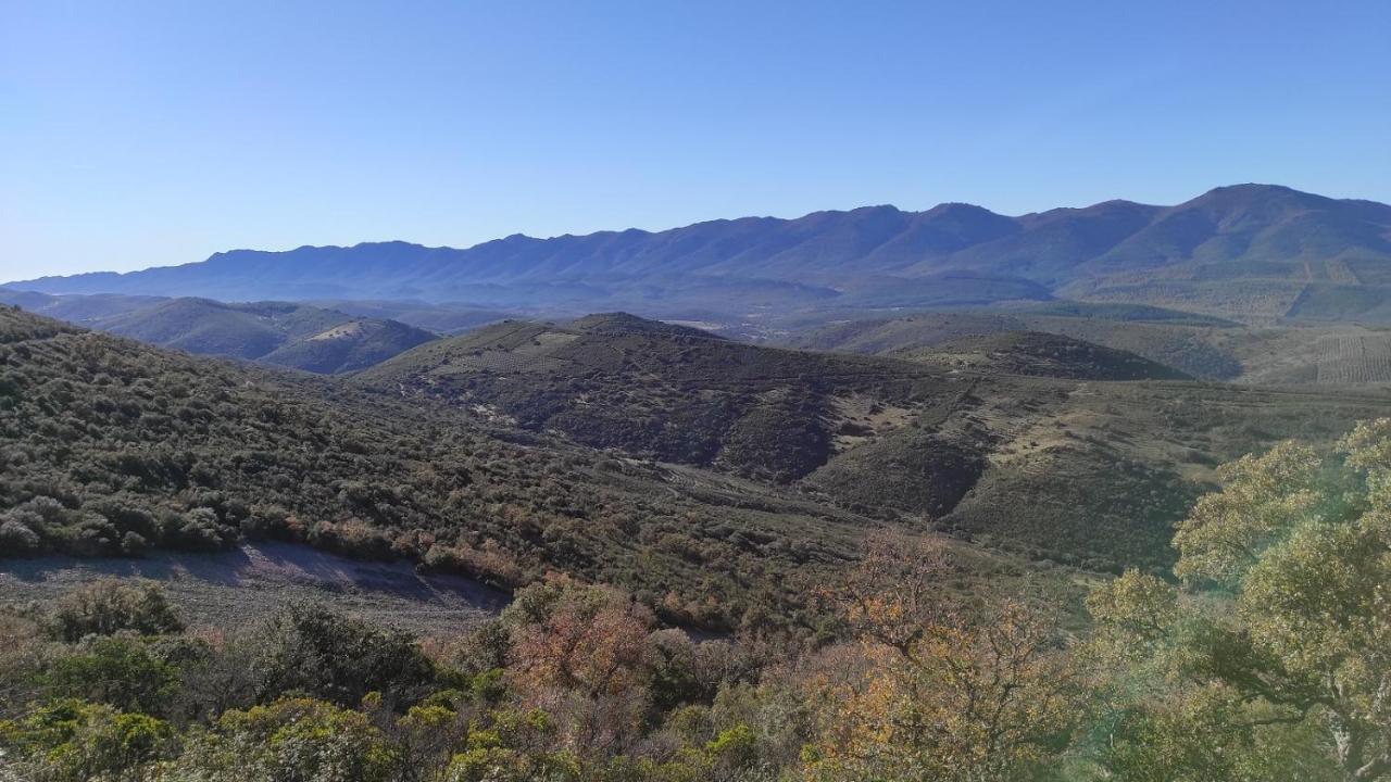 Casa Rural La Colmena Del Geoparque Navatrasierra Dış mekan fotoğraf