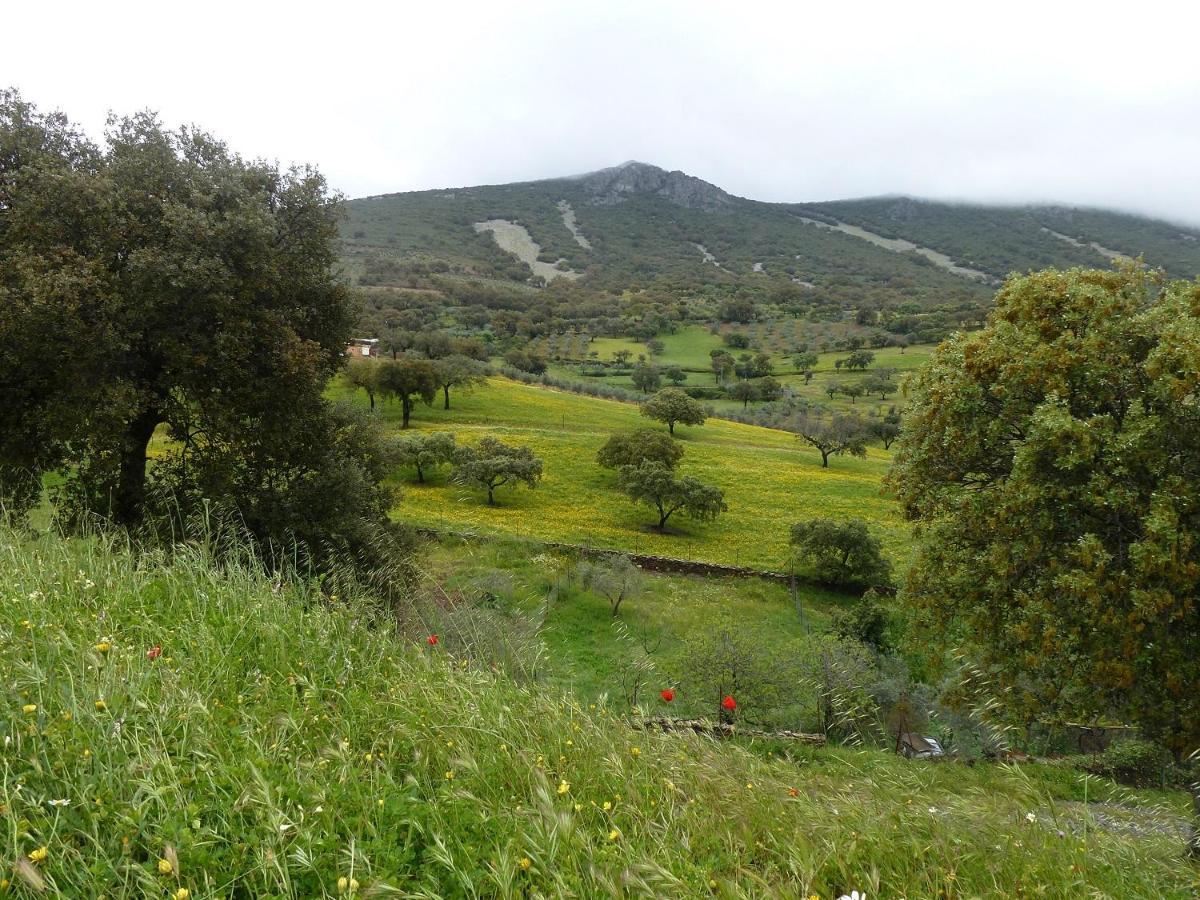 Casa Rural La Colmena Del Geoparque Navatrasierra Dış mekan fotoğraf