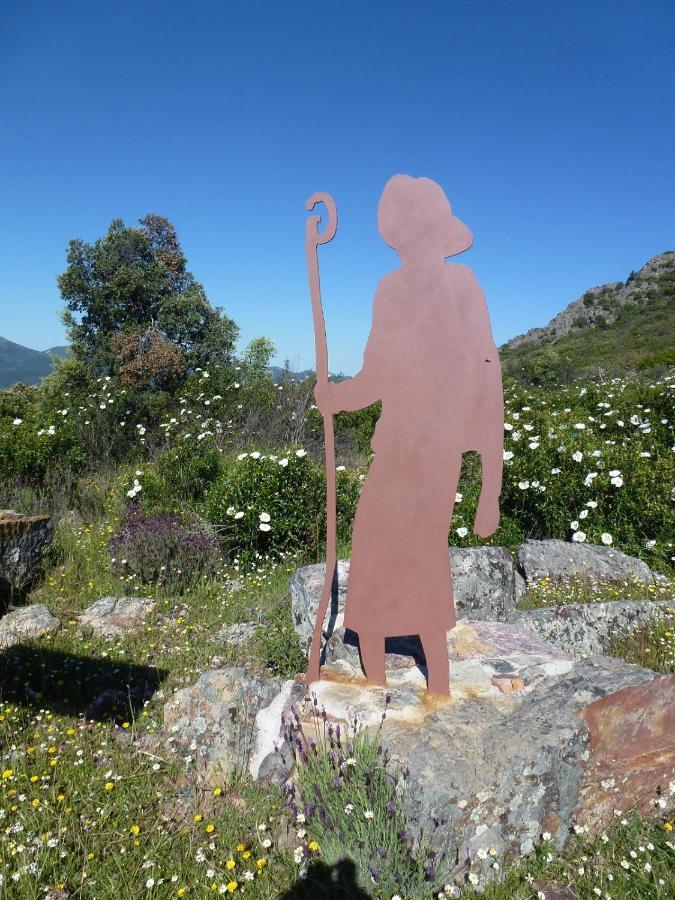 Casa Rural La Colmena Del Geoparque Navatrasierra Dış mekan fotoğraf