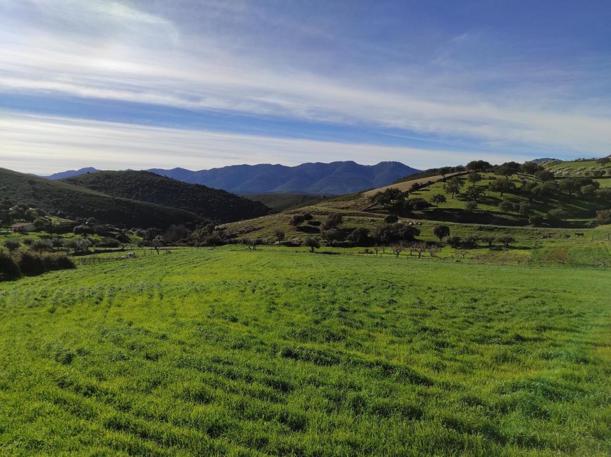 Casa Rural La Colmena Del Geoparque Navatrasierra Dış mekan fotoğraf