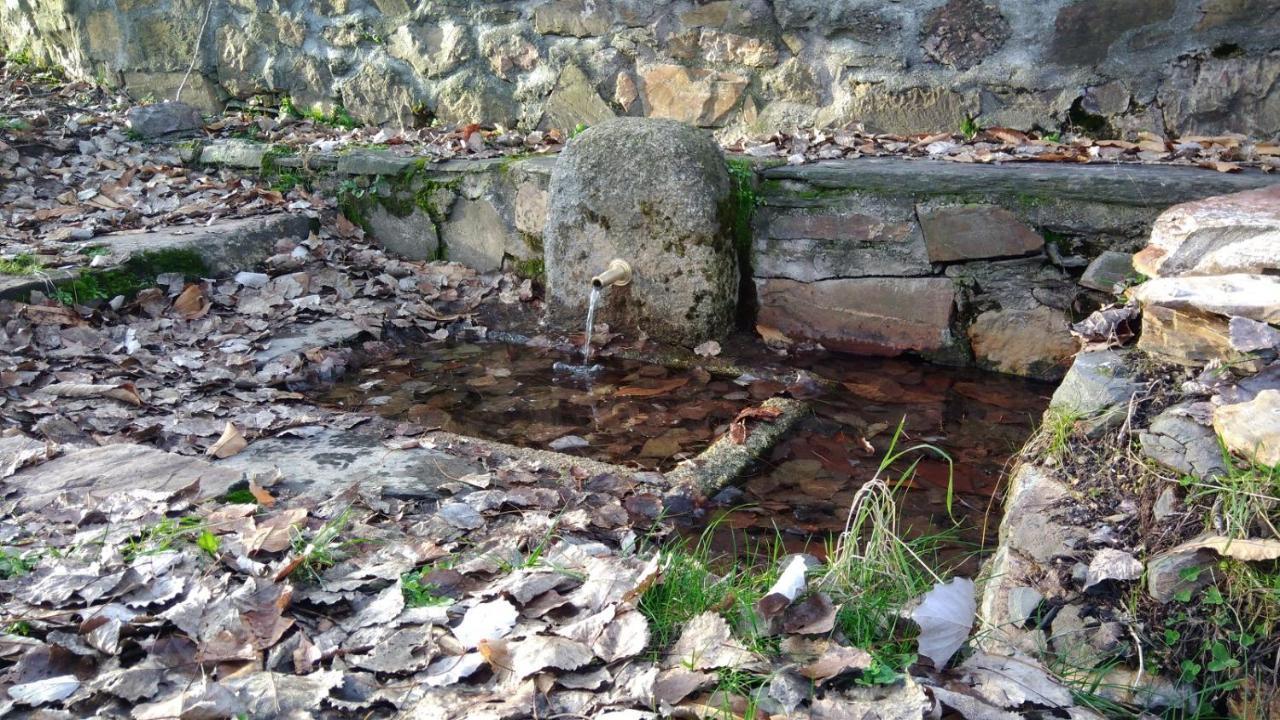Casa Rural La Colmena Del Geoparque Navatrasierra Dış mekan fotoğraf