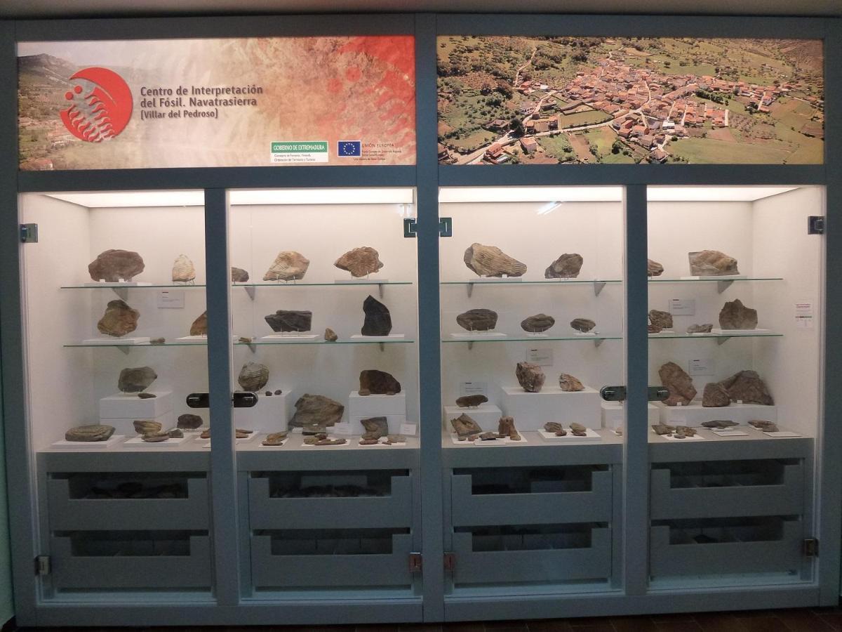 Casa Rural La Colmena Del Geoparque Navatrasierra Dış mekan fotoğraf